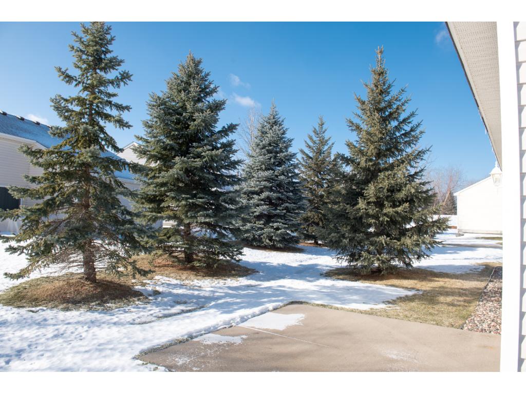 1664 Oakbrooke Ct, Eagan, MN 55122 photo 23