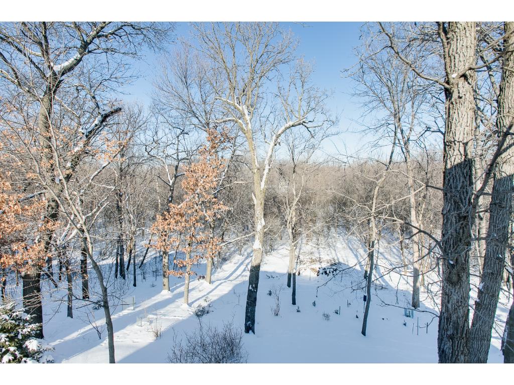 Undisclosed, Coon Rapids, MN 55433 photo 14
