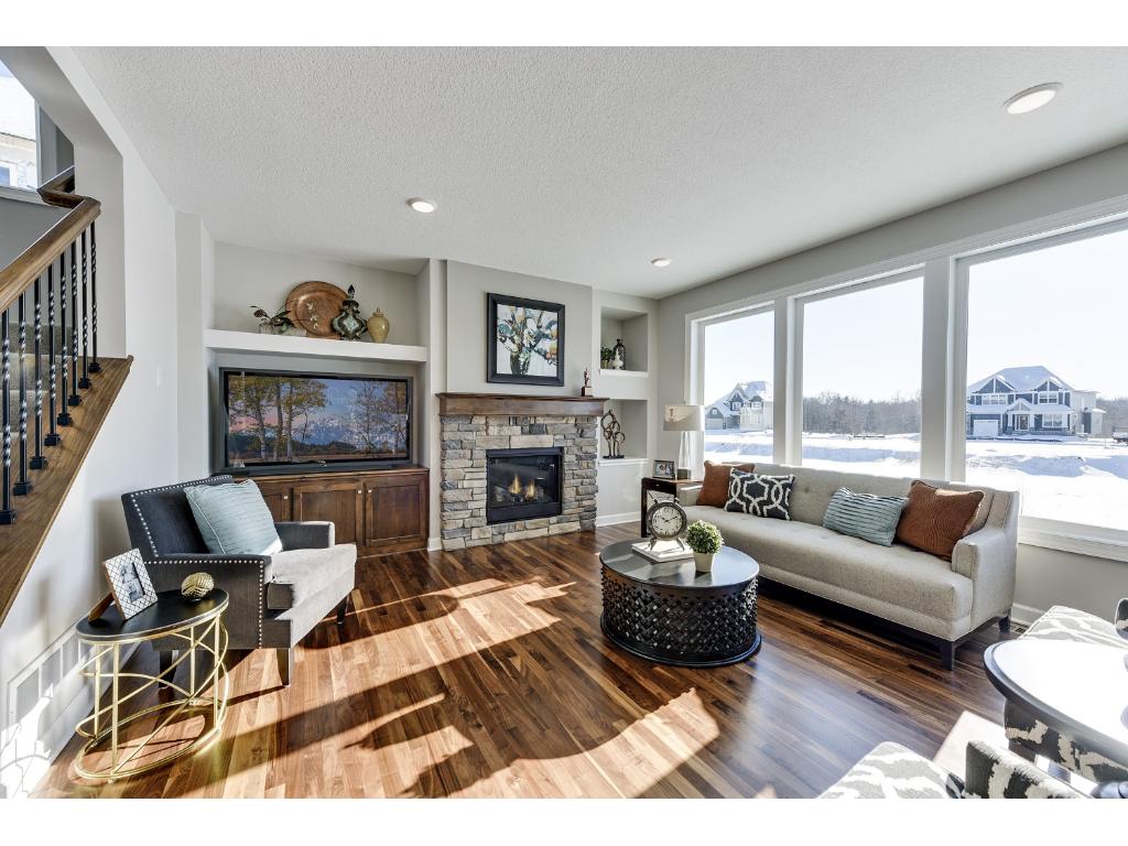 10909 Glenview Pl, Champlin, MN 55316 photo 7