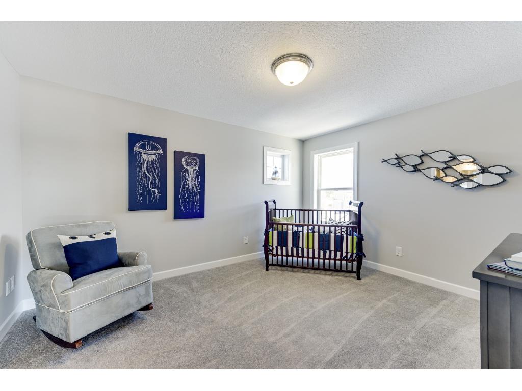 10909 Glenview Pl, Champlin, MN 55316 photo 14
