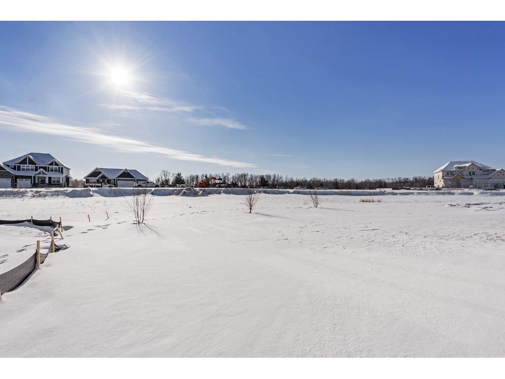 10909 Glenview Pl, Champlin, MN 55316 photo 18