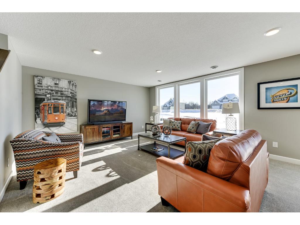 10909 Glenview Pl, Champlin, MN 55316 photo 15