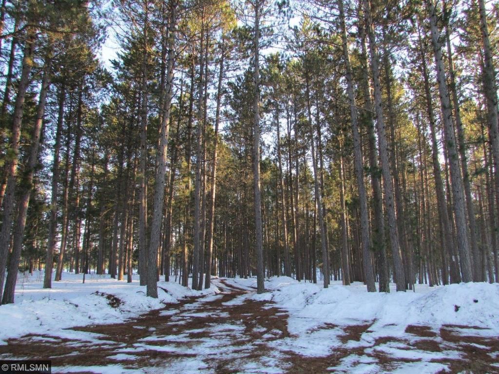 17516 County 95, Laporte, MN 56461 photo 4