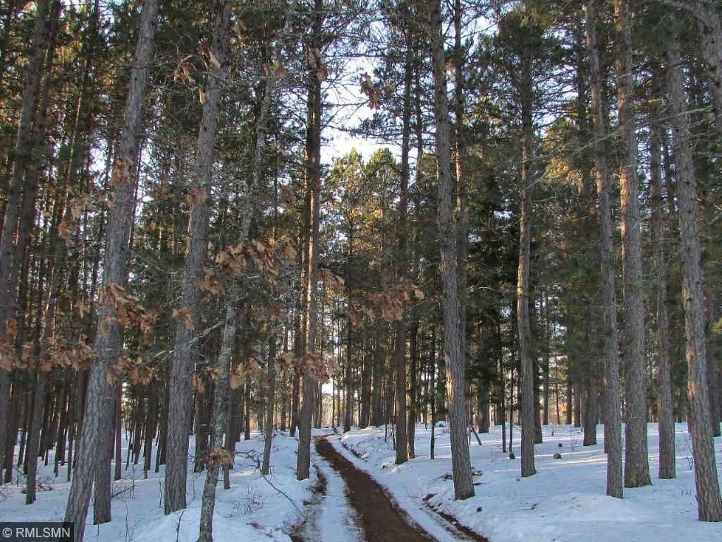 17516 County 95, Laporte, MN 56461 photo 17