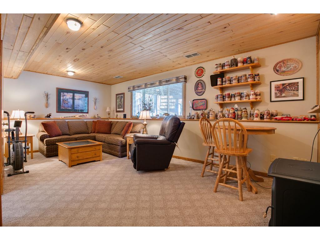 5920 114th Pl N, Champlin, MN 55316 photo 17