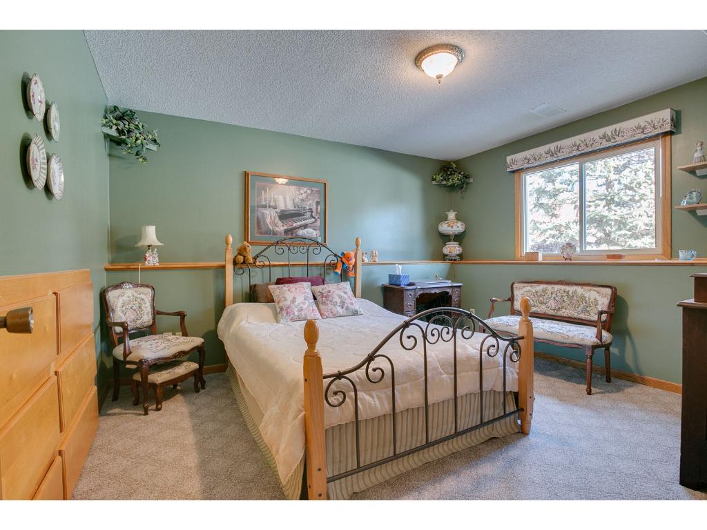 5920 114th Pl N, Champlin, MN 55316 photo 19