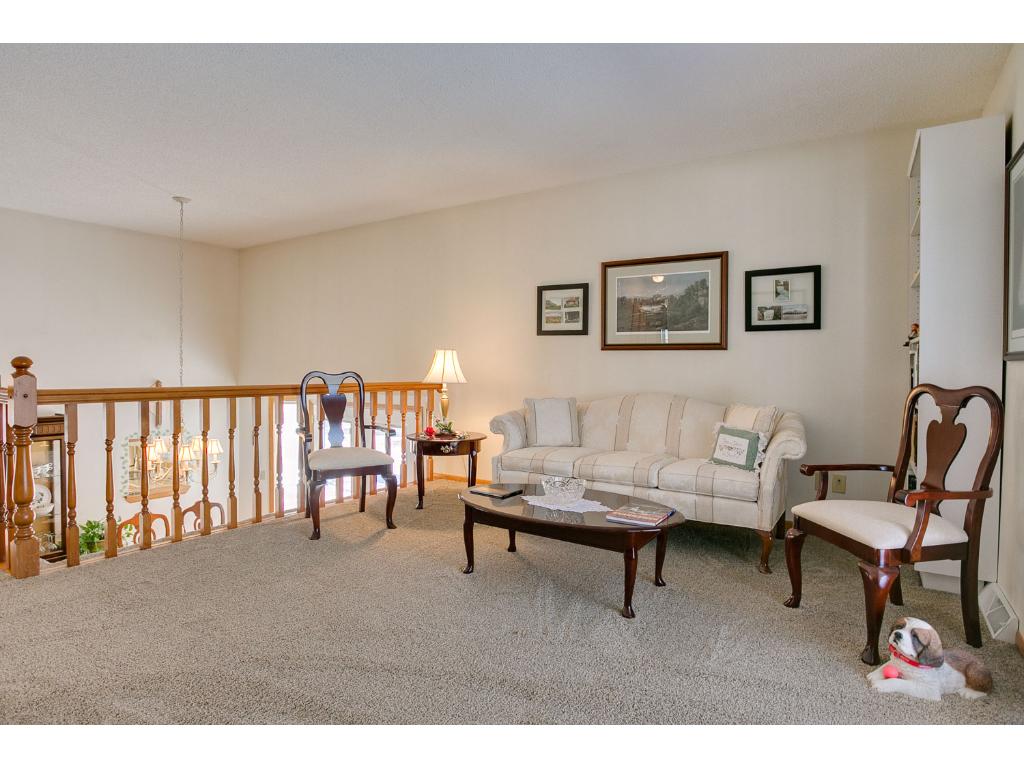5920 114th Pl N, Champlin, MN 55316 photo 10