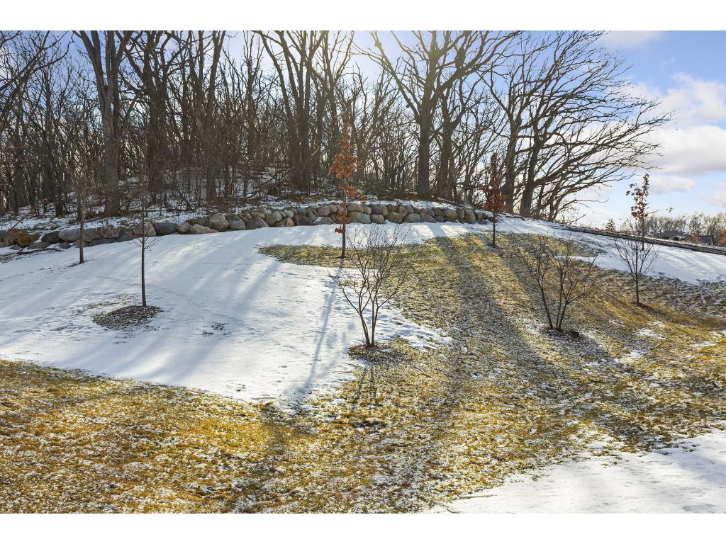 3979 Cedar Grove Ln, Eagan, MN 55122 photo 24