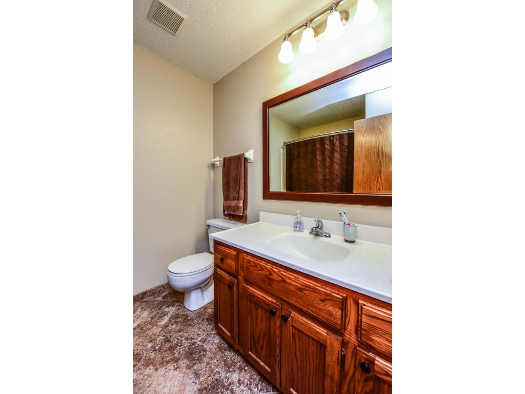 14084 Dane Ave, Rosemount, MN 55068 photo 15