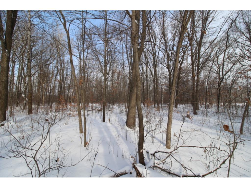 14254 Thorson Rd, Brainerd, MN 56401 photo 16