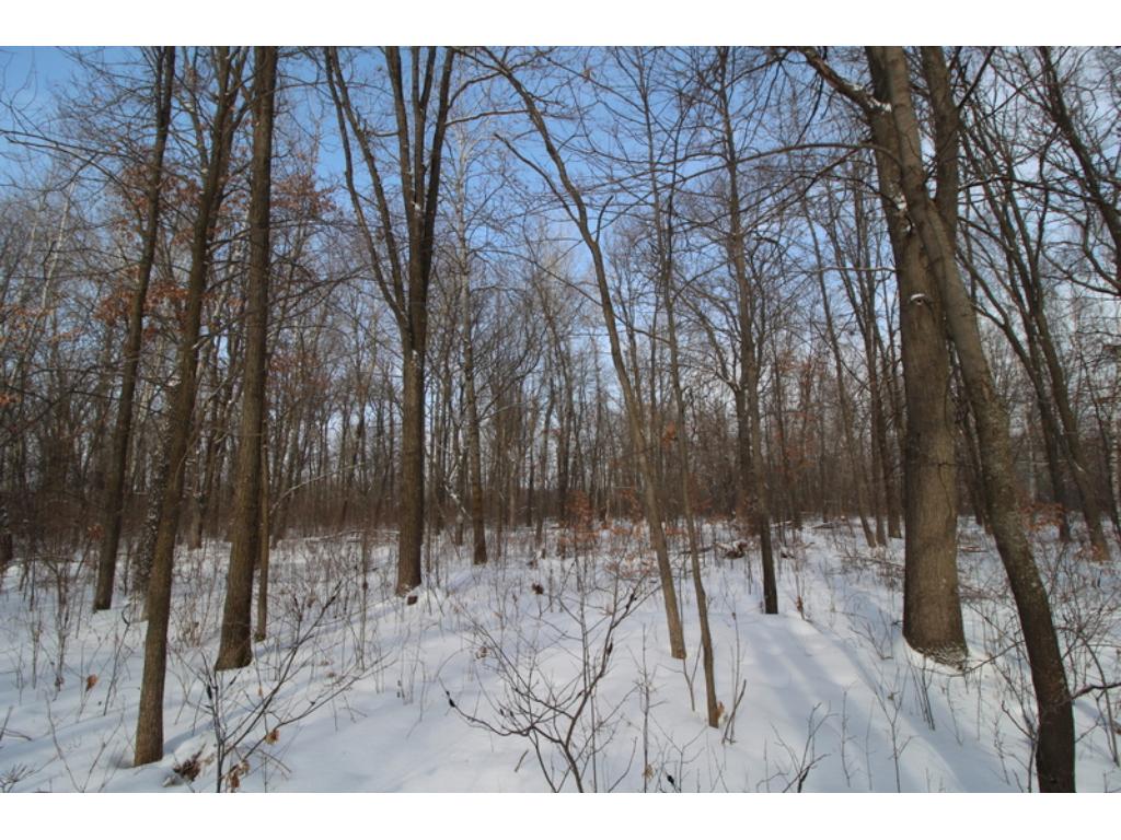 14254 Thorson Rd, Brainerd, MN 56401 photo 15