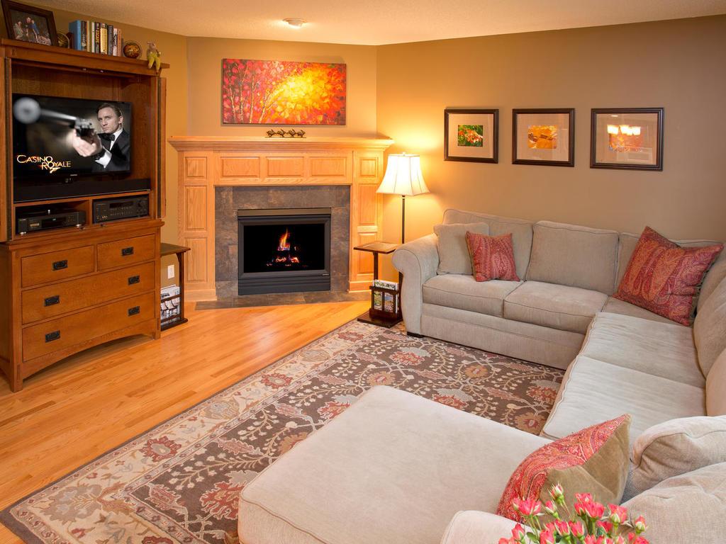 11303 Rosemill Ln, Champlin, MN 55316 photo 3