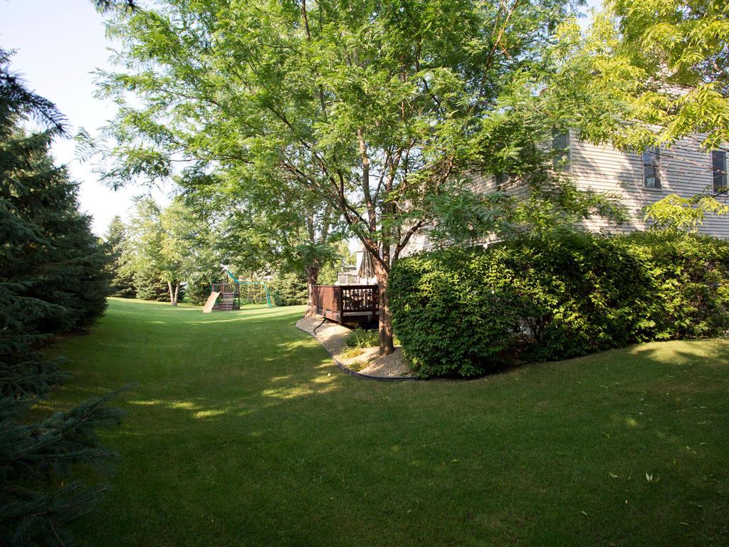 11303 Rosemill Ln, Champlin, MN 55316 photo 21