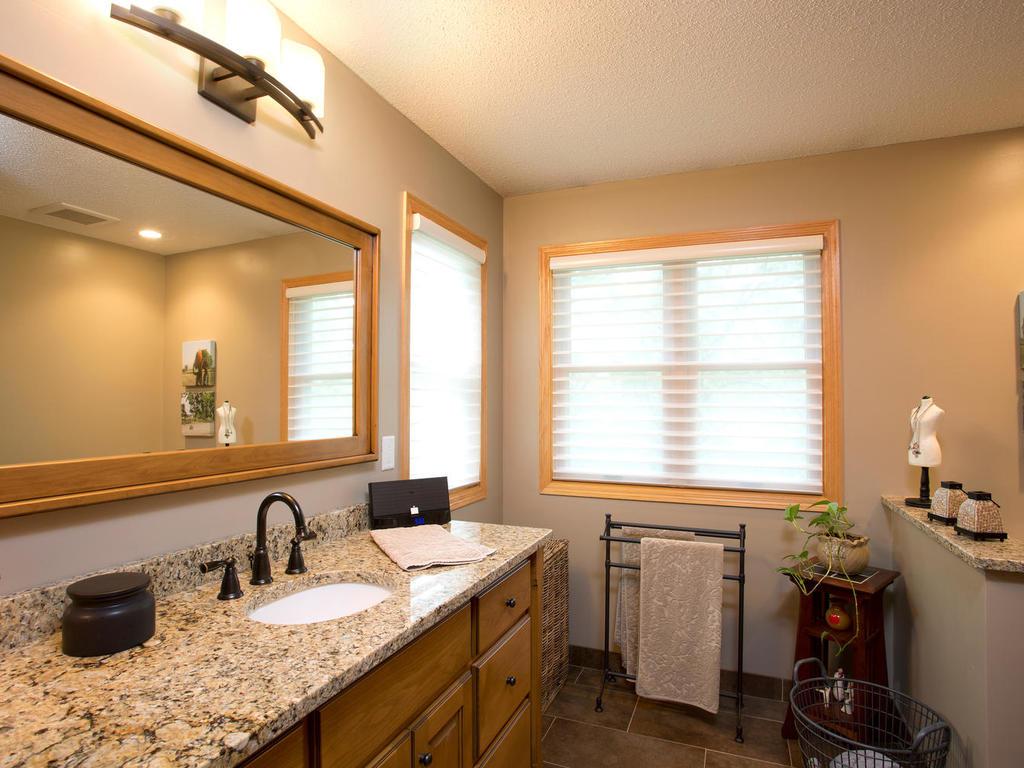 11303 Rosemill Ln, Champlin, MN 55316 photo 10