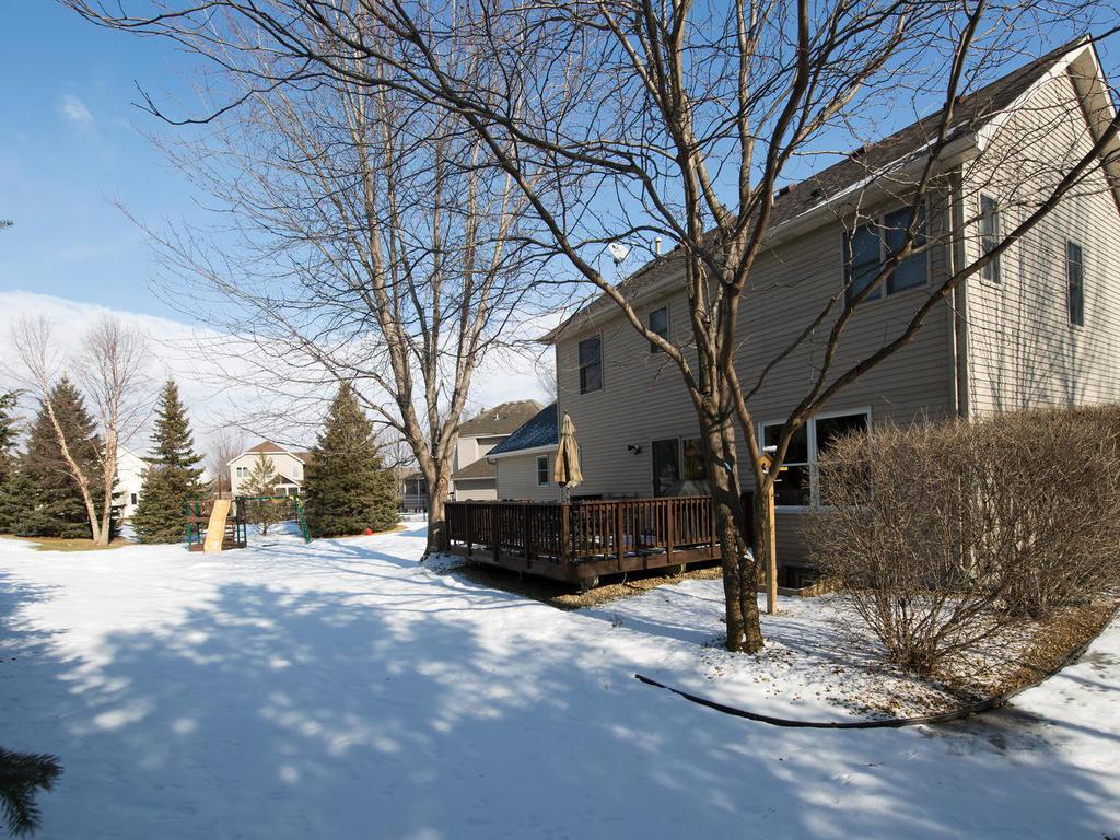 11303 Rosemill Ln, Champlin, MN 55316 photo 19