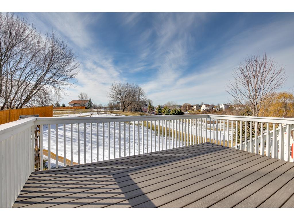 15775 Cicerone Path, Rosemount, MN 55068 photo 21