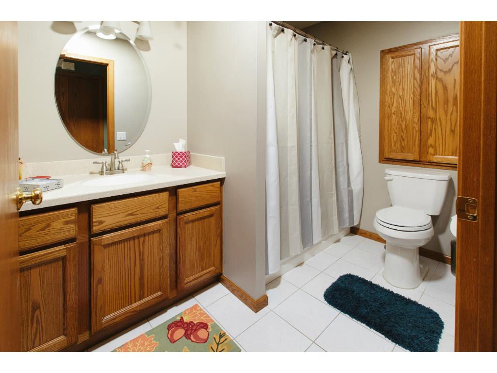 9283 Prairieview Trl N, Champlin, MN 55316 photo 23