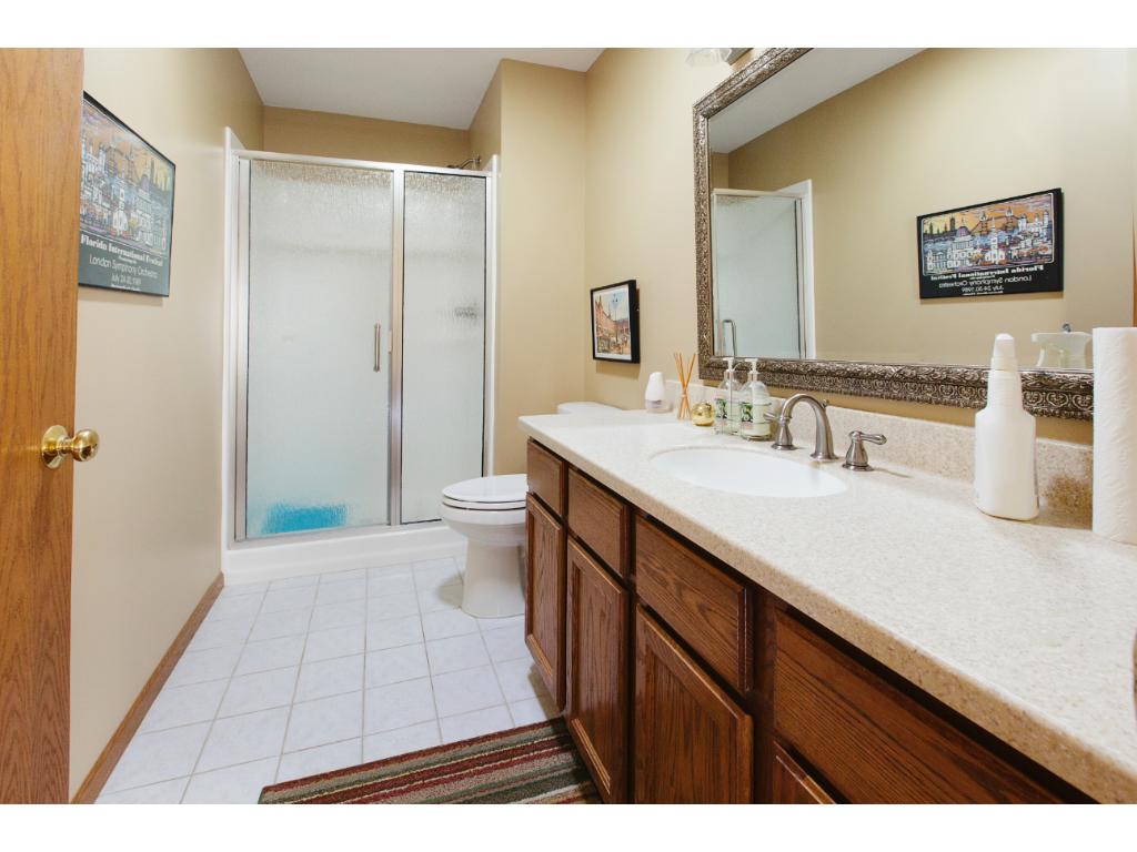 9283 Prairieview Trl N, Champlin, MN 55316 photo 16