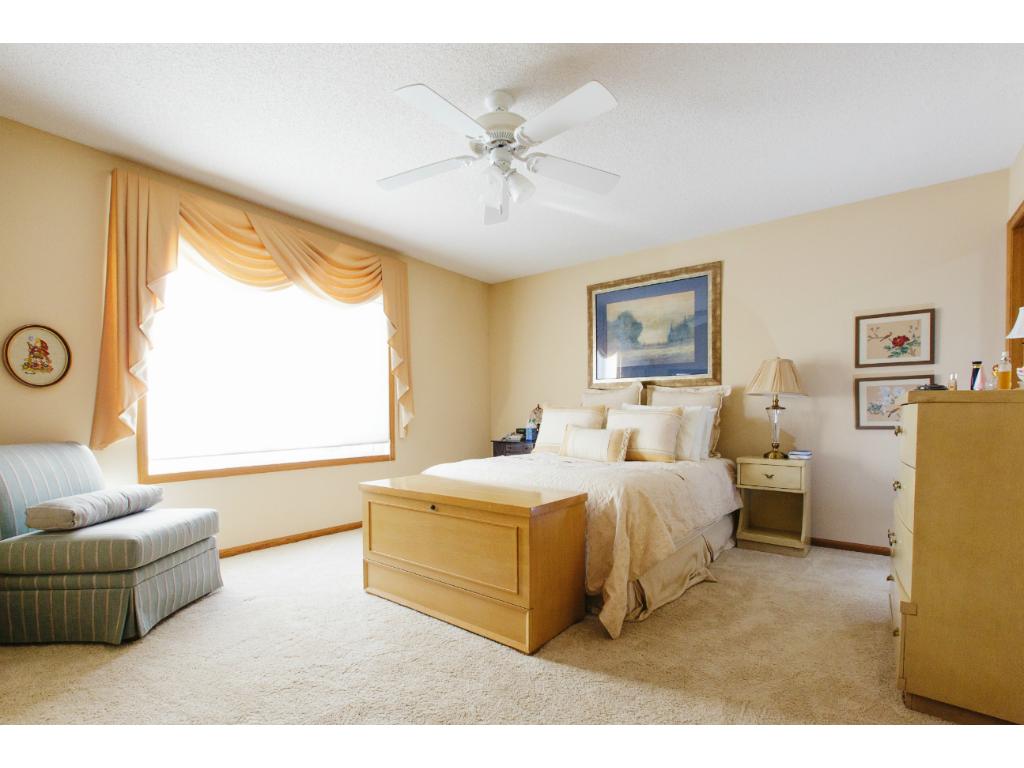 9283 Prairieview Trl N, Champlin, MN 55316 photo 14