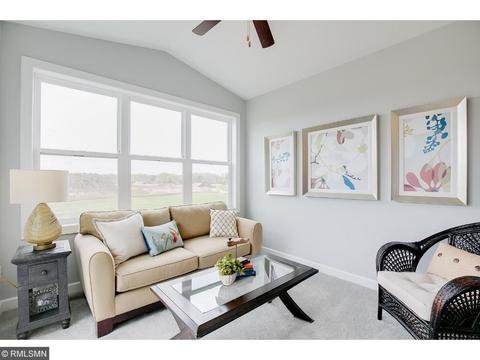 10647 Brookside Trl, Champlin, MN 55316 photo 6
