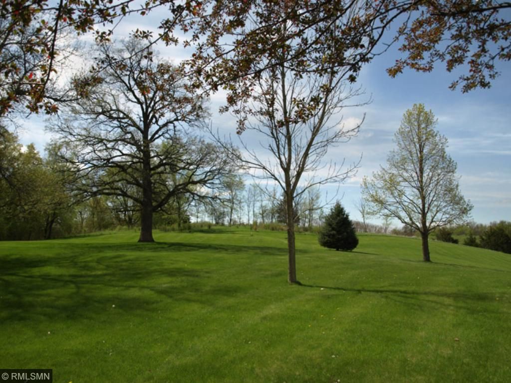 5525 Town Hall Dr, Loretto, MN 55357 photo 10