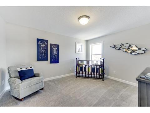 10944 Glenview Pl, Champlin, MN 55316 photo 16