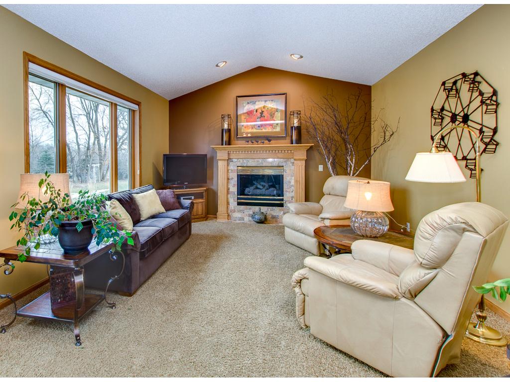 3150 Christopher Ln, Shoreview, MN 55126 photo 3