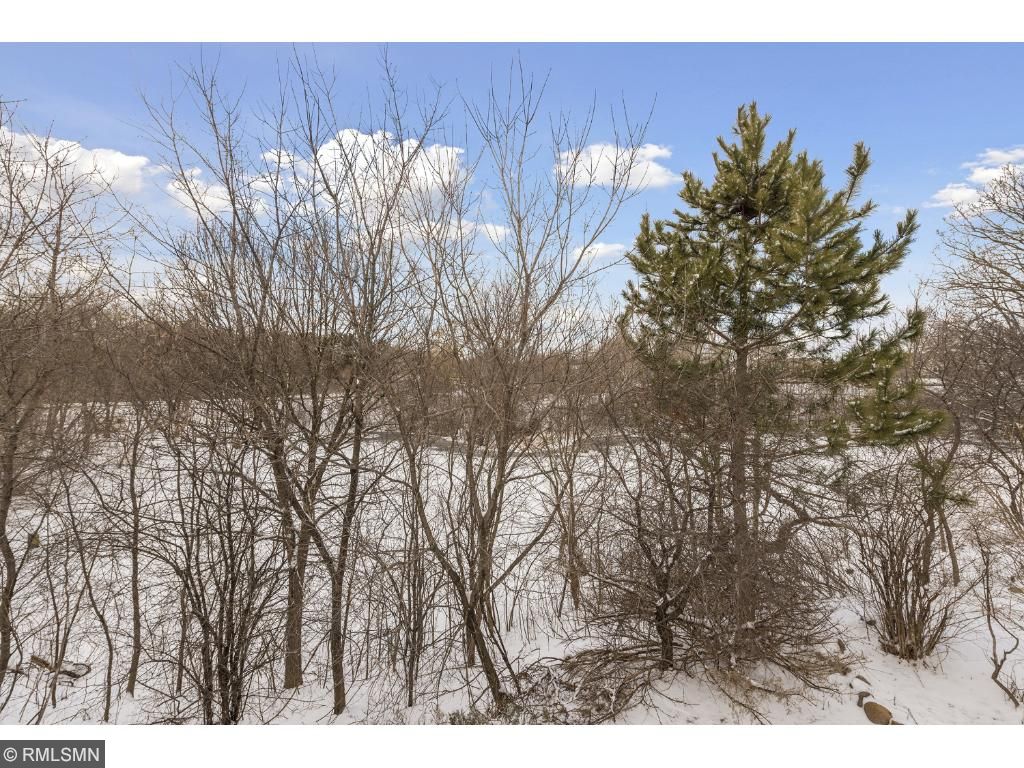 1487 Auburn Ct, Eagan, MN 55122 photo 20