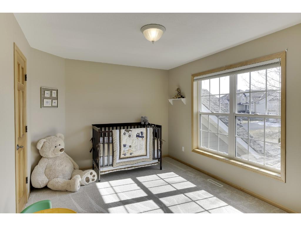 13303 Danner Path, Rosemount, MN 55068 photo 15