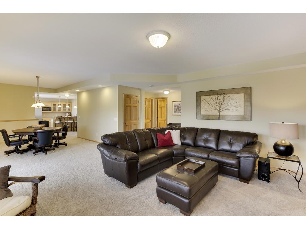13303 Danner Path, Rosemount, MN 55068 photo 20