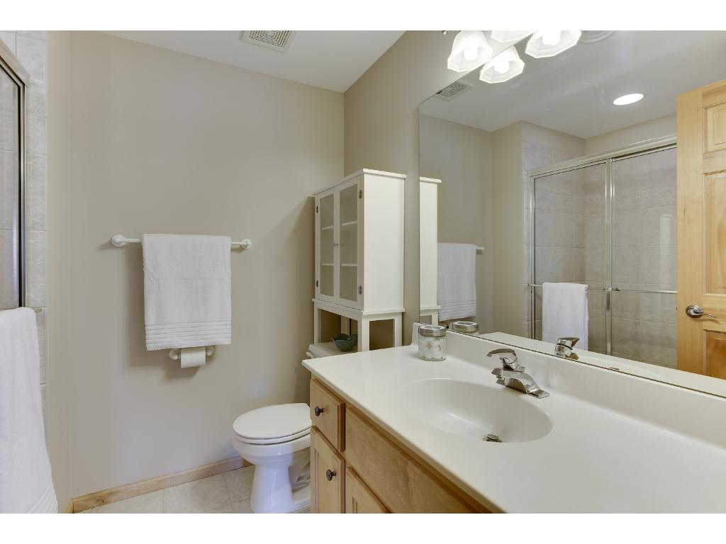 13303 Danner Path, Rosemount, MN 55068 photo 23