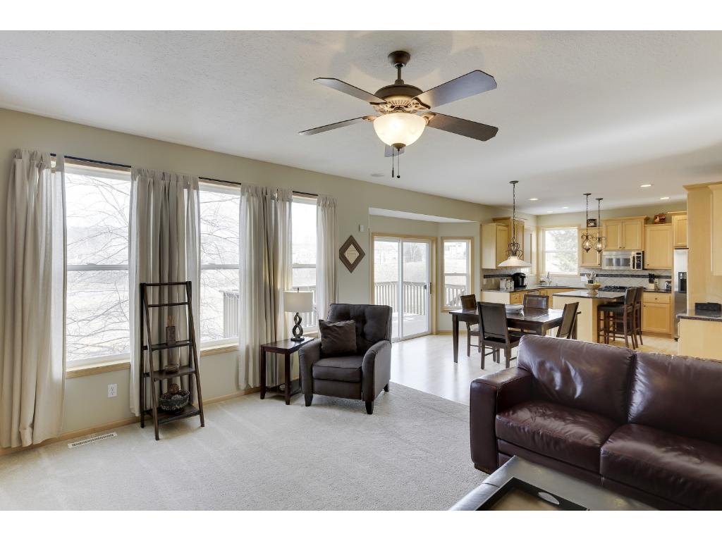 13303 Danner Path, Rosemount, MN 55068 photo 4