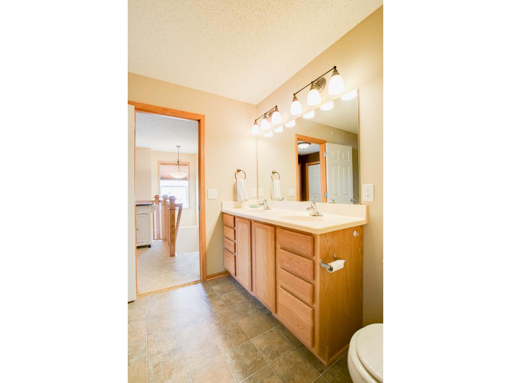 13638 Brick Path, Rosemount, MN 55068 photo 18