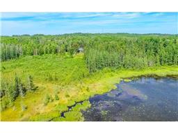 52671 Becker Rd, Bigfork, MN 56628 photo 22