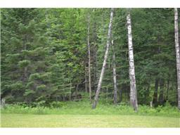 52671 Becker Rd, Bigfork, MN 56628 photo 14
