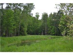 52671 Becker Rd, Bigfork, MN 56628 photo 15