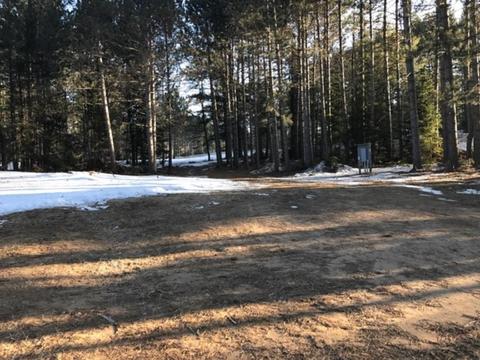 5156 Wahlsten Rd, Embarrass, MN 55732 photo 4