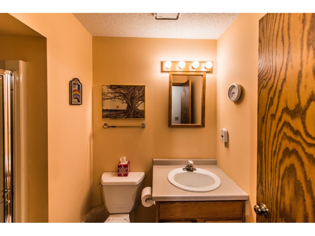 1384 Interlachen Dr, Eagan, MN 55123 photo 18