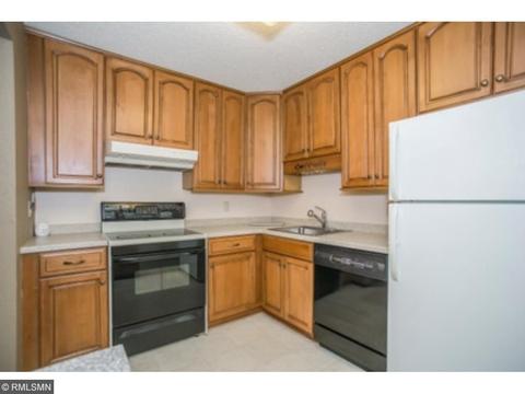 1700 Four Oaks Rd #251, Eagan, MN 55121 photo 3