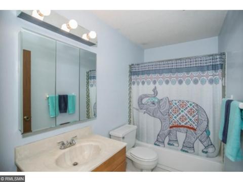 1700 Four Oaks Rd #251, Eagan, MN 55121 photo 9