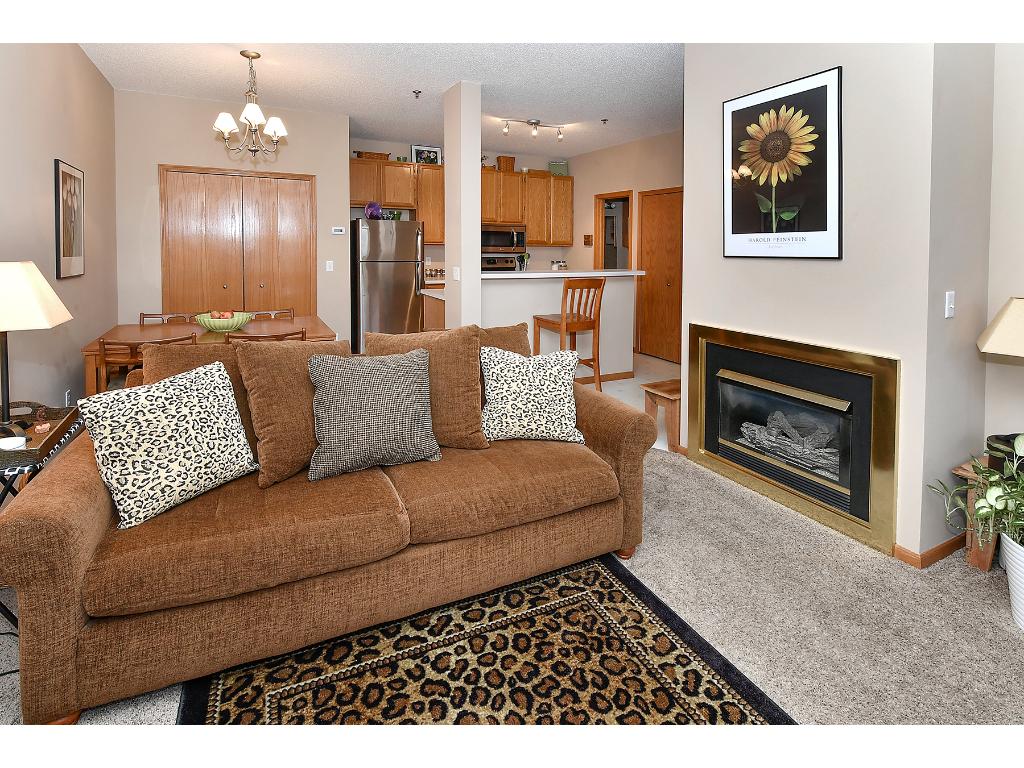 8476 Kimball Dr, Eden Prairie, MN 55347 photo 6