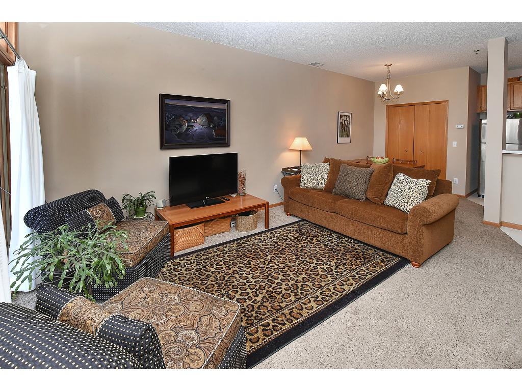 8476 Kimball Dr, Eden Prairie, MN 55347 photo 5