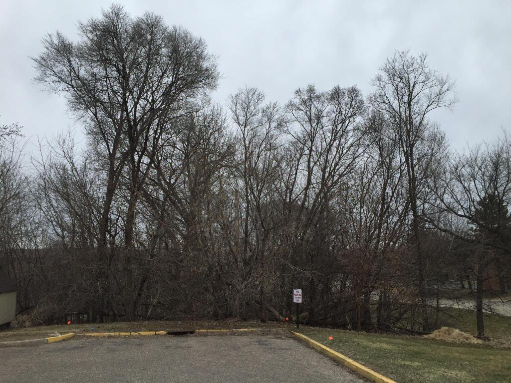 3861 Gold Pt #A, Eagan, MN 55122 photo 10