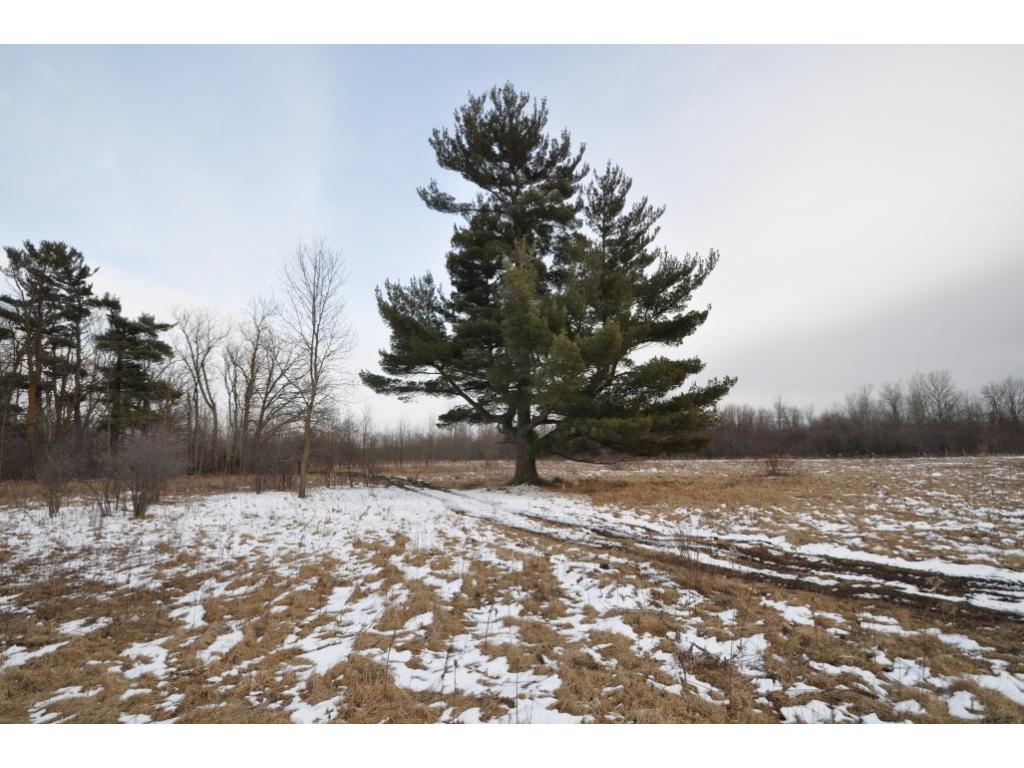13654 100th Ave, Milaca, MN 56353 photo 20