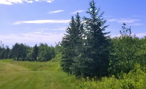 Lots 3, Frederic, WI 54837