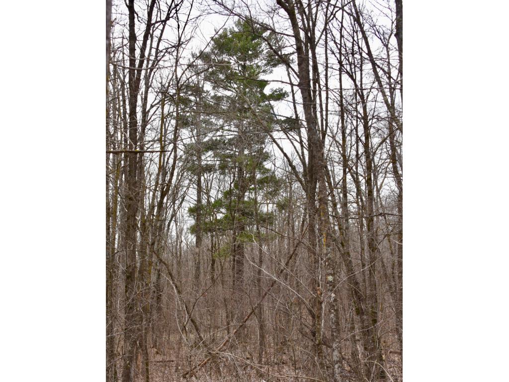 26026 Marsh Rd, Milaca, MN 56353 photo 9
