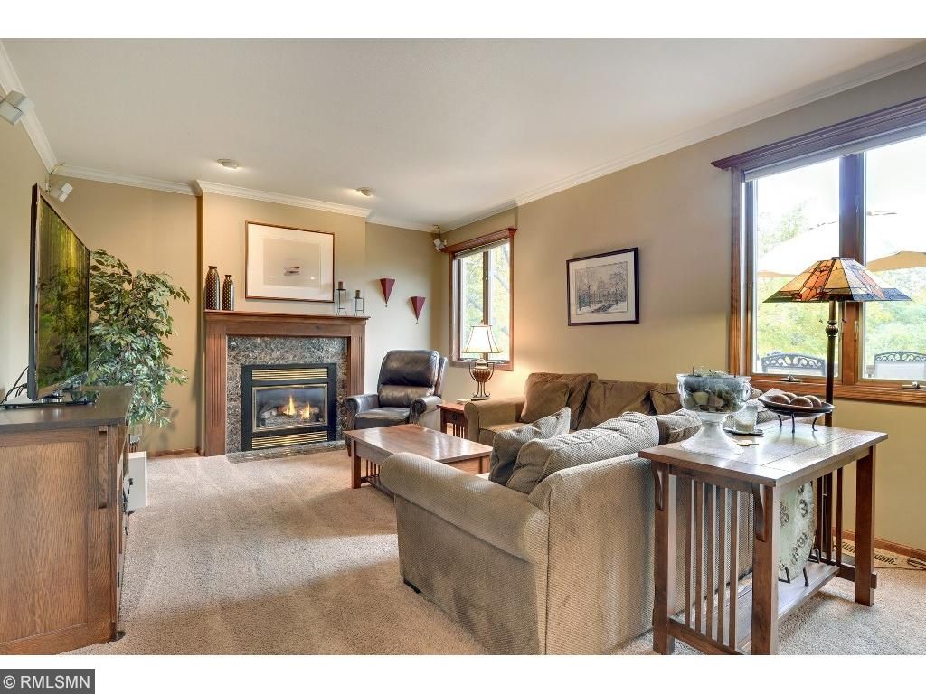 4371 Bent Tree Ln, Eagan, MN 55123 photo 8