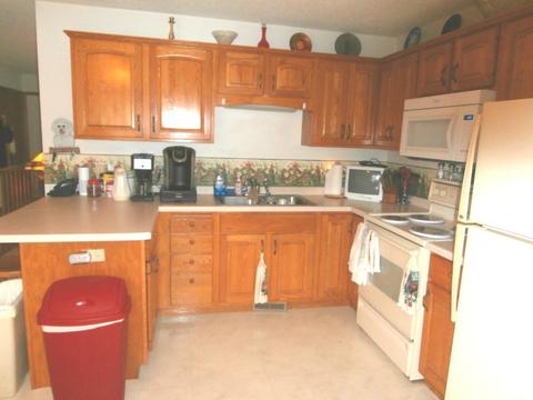 127 N Danforth Ave, Red Wing, MN 55066 photo 4