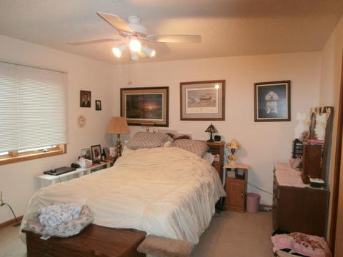 127 N Danforth Ave, Red Wing, MN 55066 photo 6