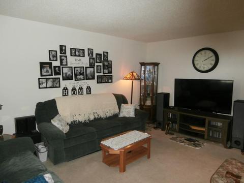 127 N Danforth Ave, Red Wing, MN 55066 photo 2